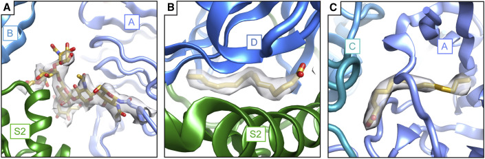 Figure 3