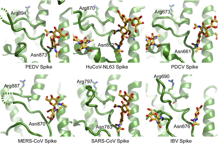 Figure 2