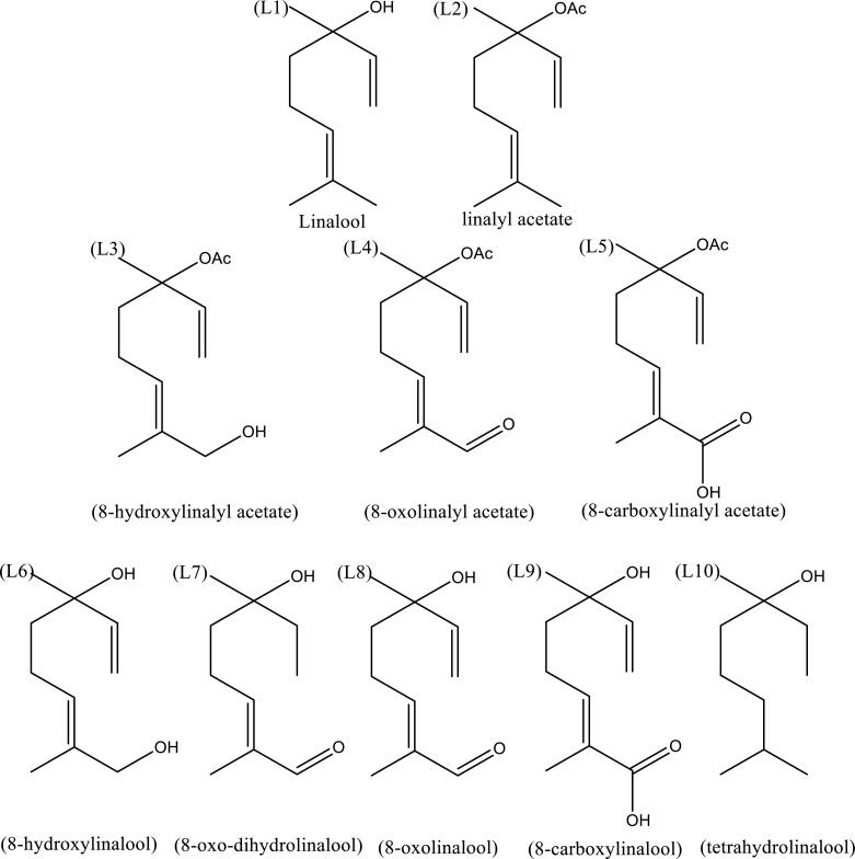 Fig. (1)