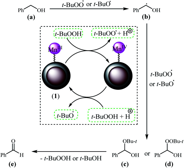 Scheme 4