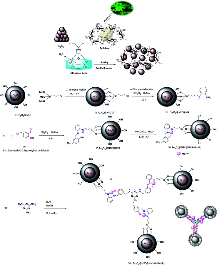 Scheme 1