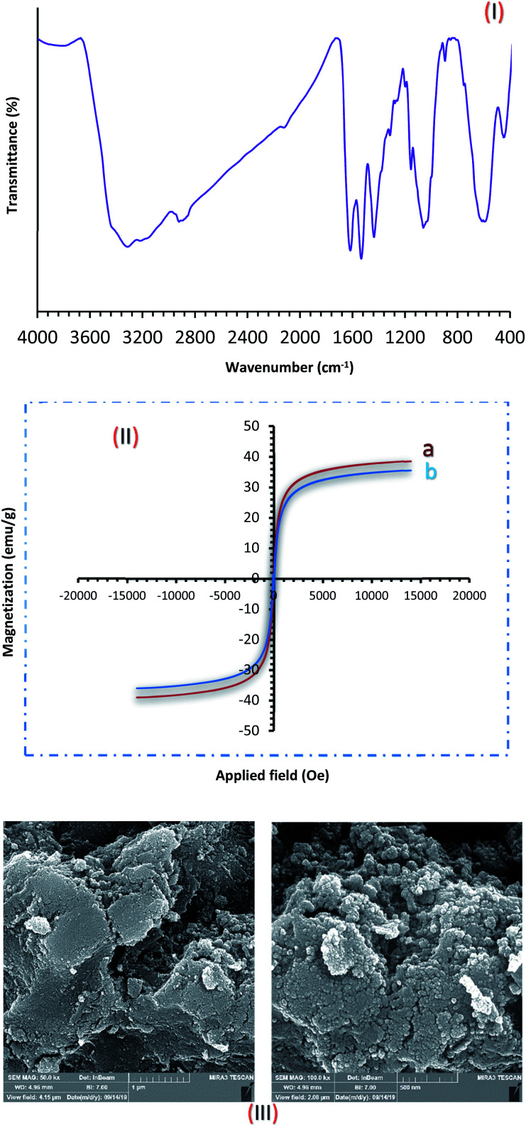 Fig. 10