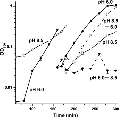 FIG. 1.