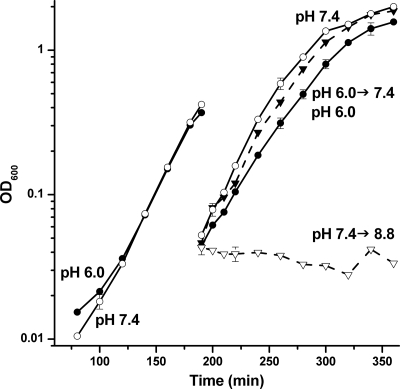 FIG. 2.