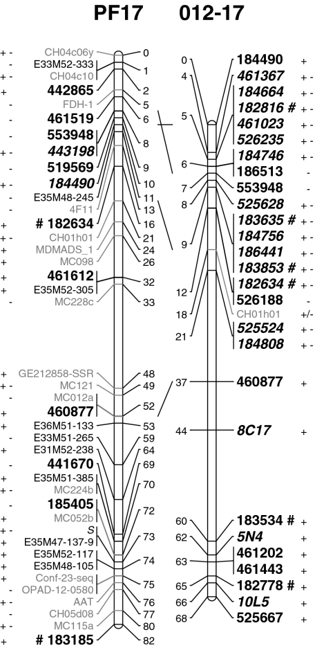 Fig. 2