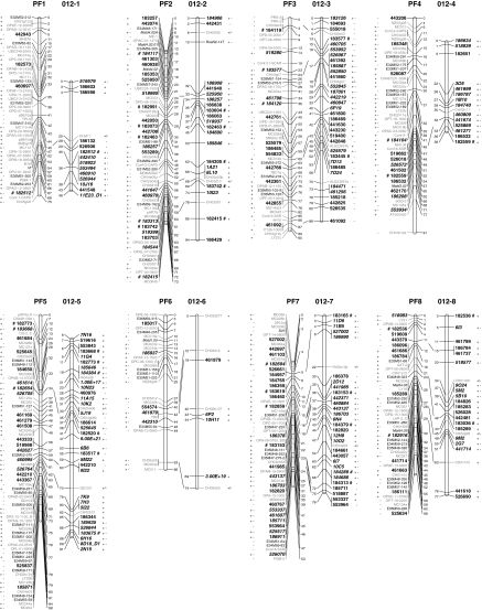 Fig. 2