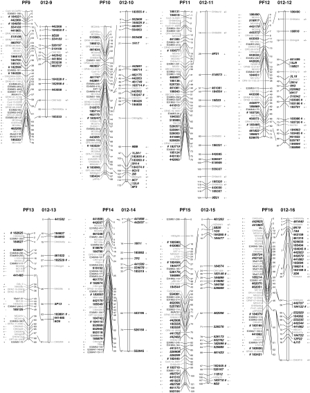 Fig. 2