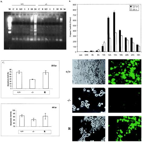 FIG. 7.