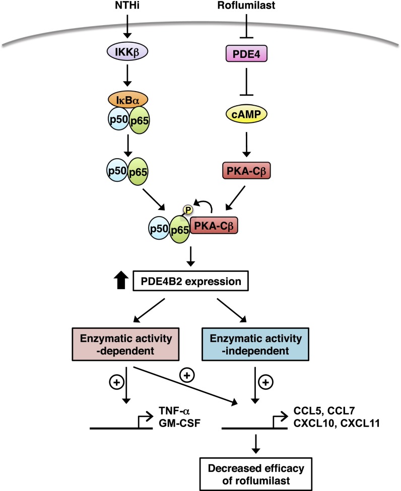 Fig. 8.