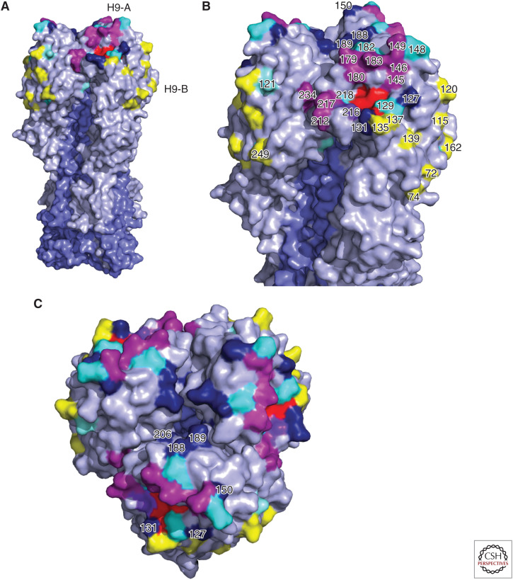 Figure 4.