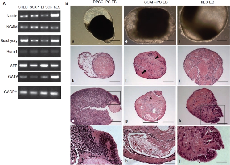 FIG. 8.