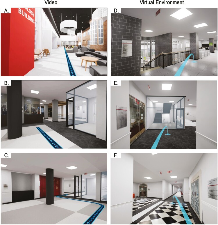 Alt Text: Side-by-side comparisons of labeled areas in video (A–C) and virtual environments (D–F), showing hallways, seating areas, and intersections, with a blue path guiding movement through both versions.