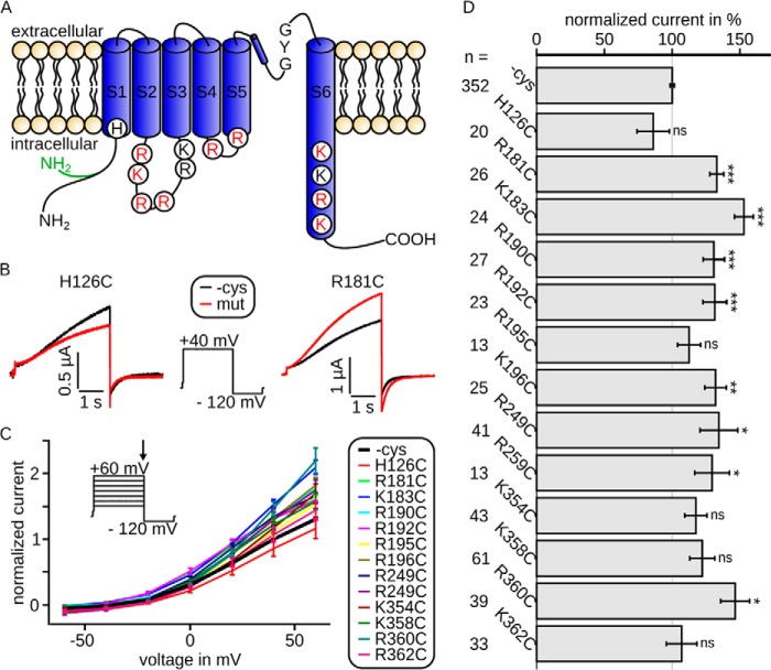 FIGURE 1.