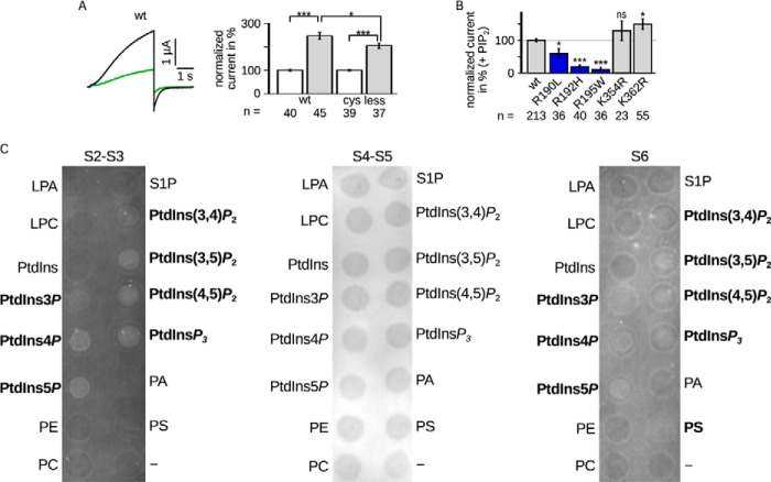 FIGURE 4.