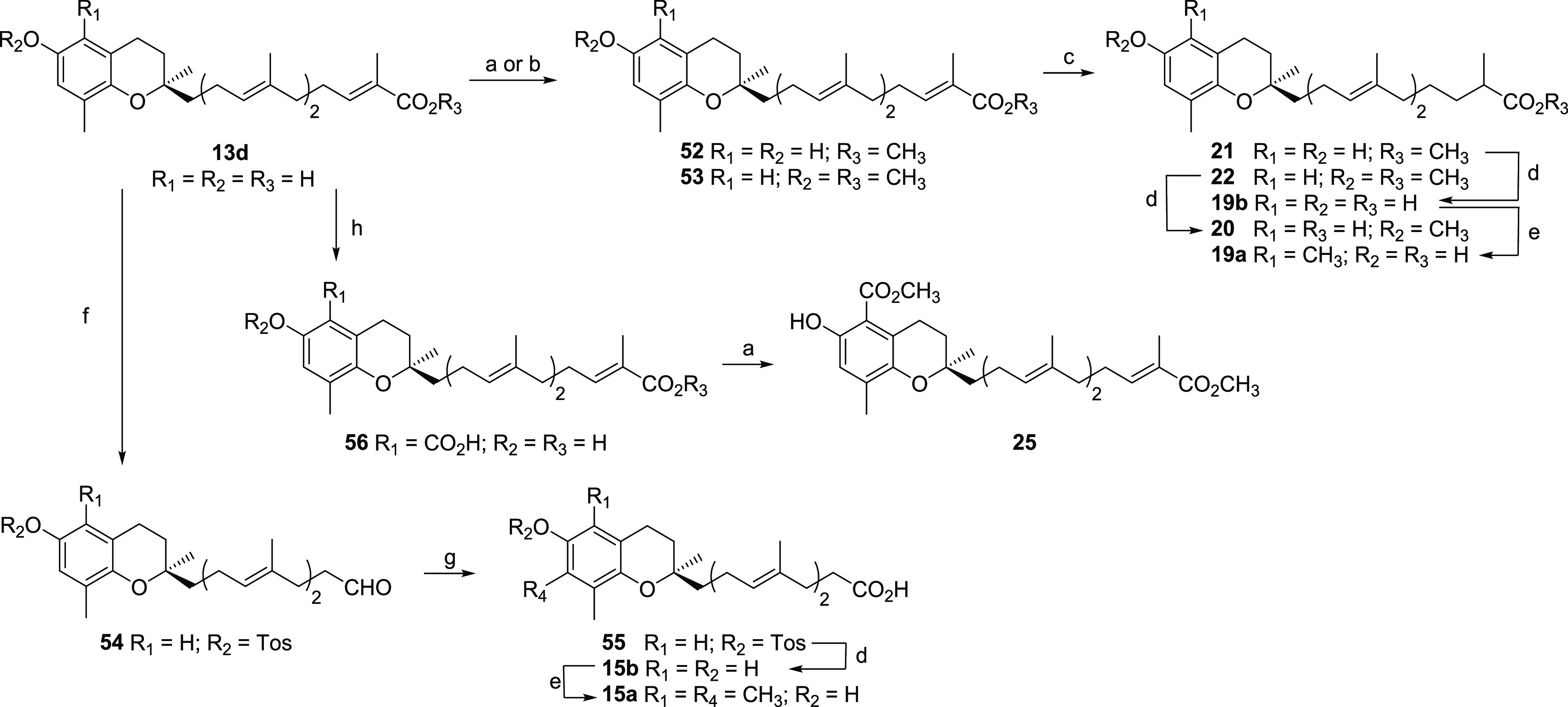 Scheme 4