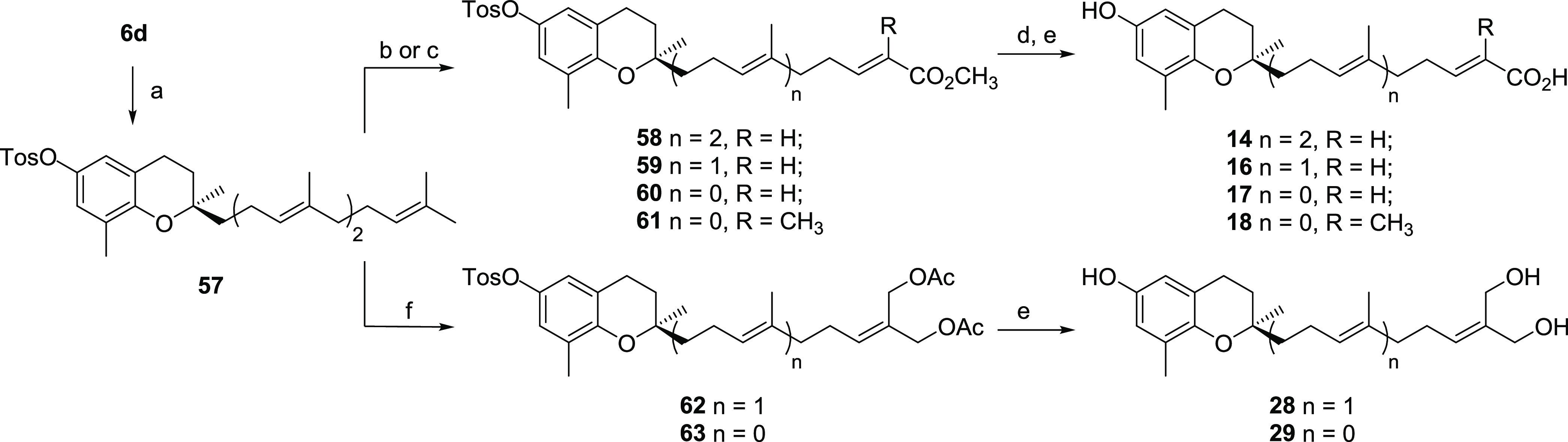 Scheme 6