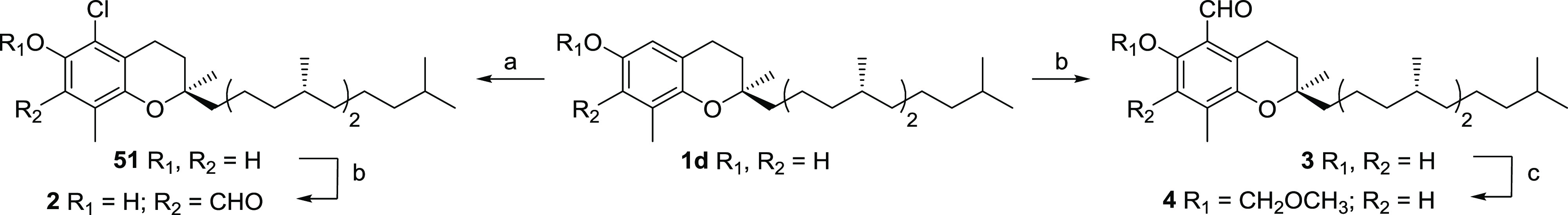 Scheme 2