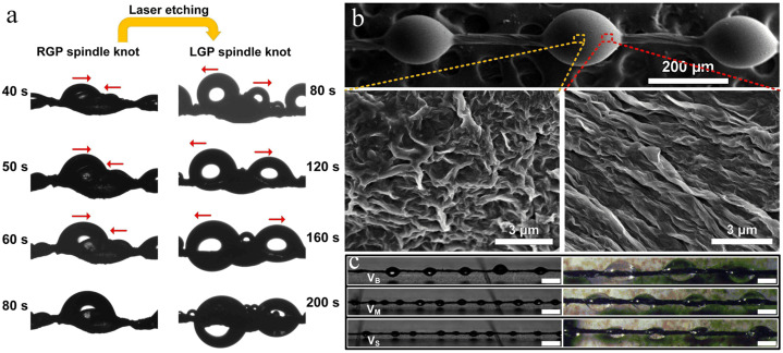 Fig. 9