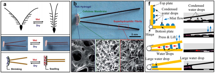 Fig. 15