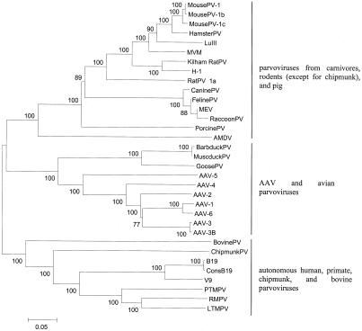 FIG. 1