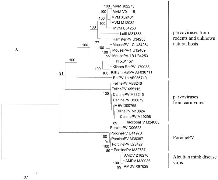 FIG. 4