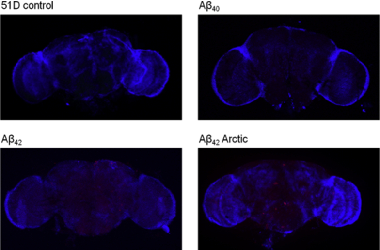 Supplementary Fig. 1