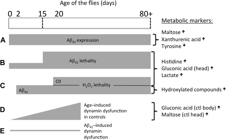 Fig. 10