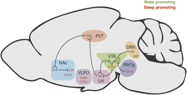 Fig. 2.