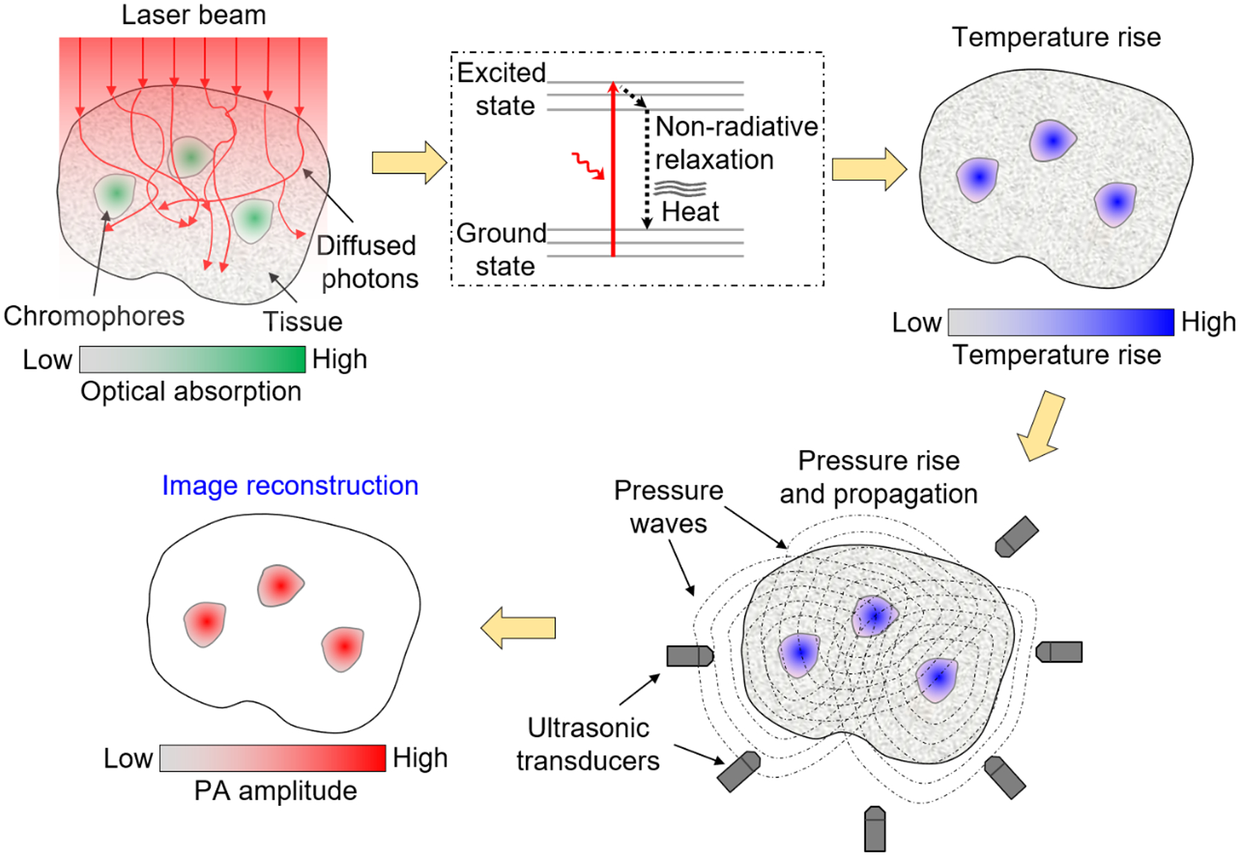 Figure 1.