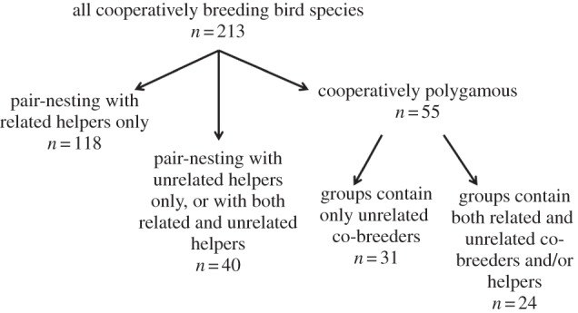 Figure 1.