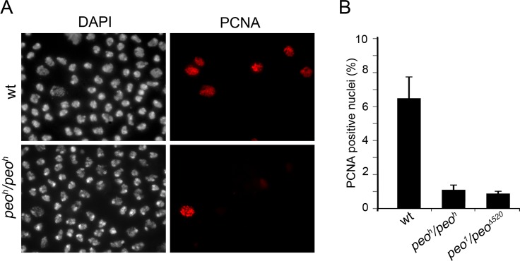 Fig 10