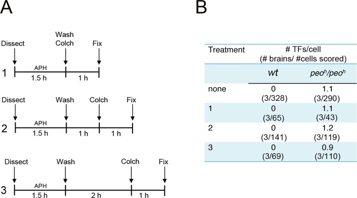 Fig 11