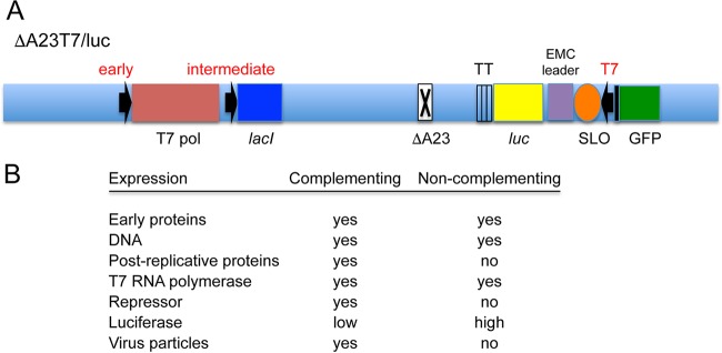 FIG 2 