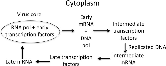 FIG 1 