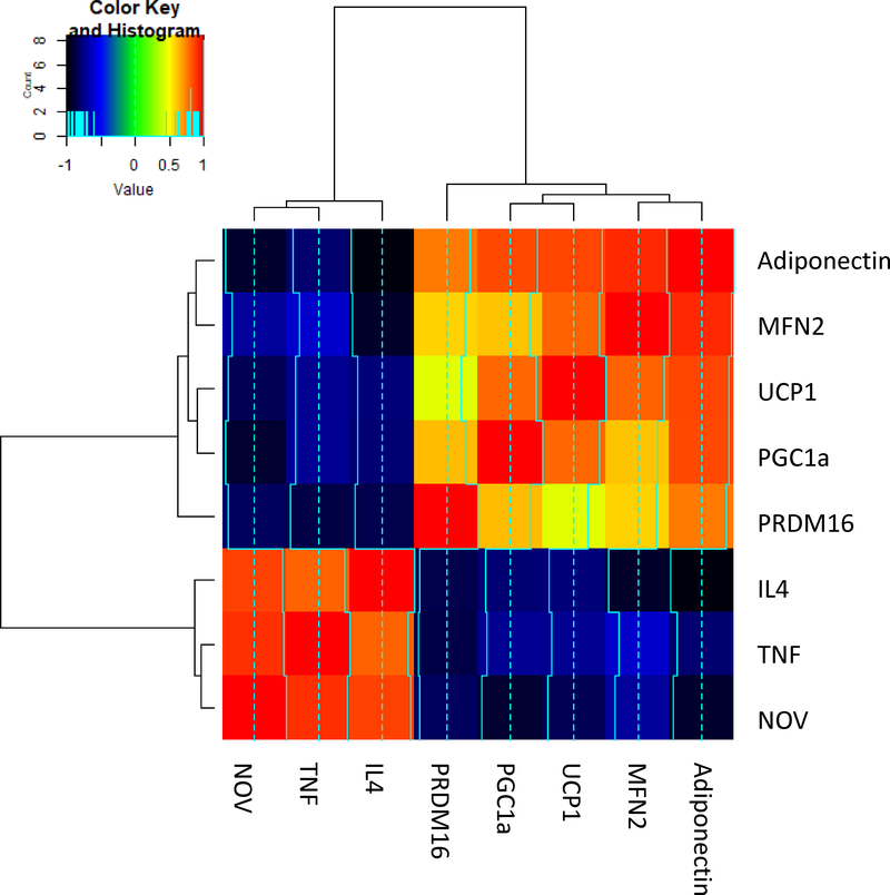 Figure 6.