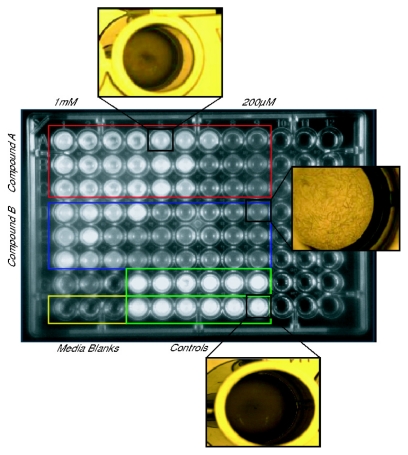 Figure 15