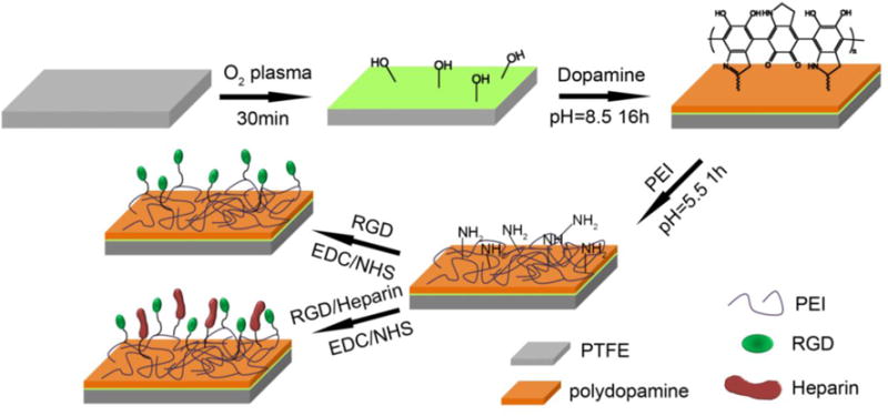 Schematic 1