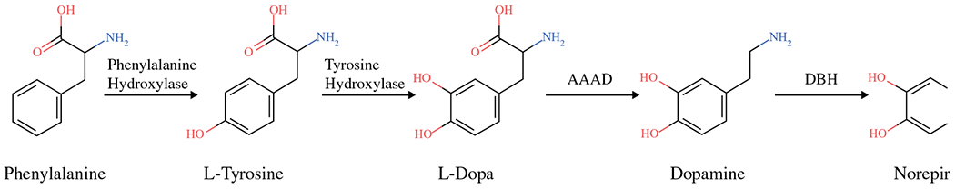 FIG. 1