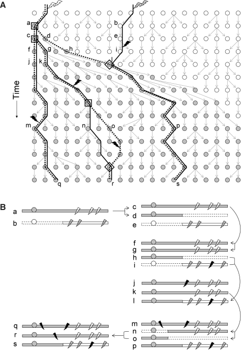 Figure 1: