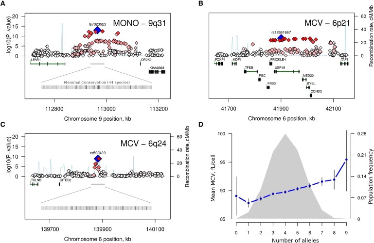 Figure 1