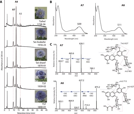 Fig. 2