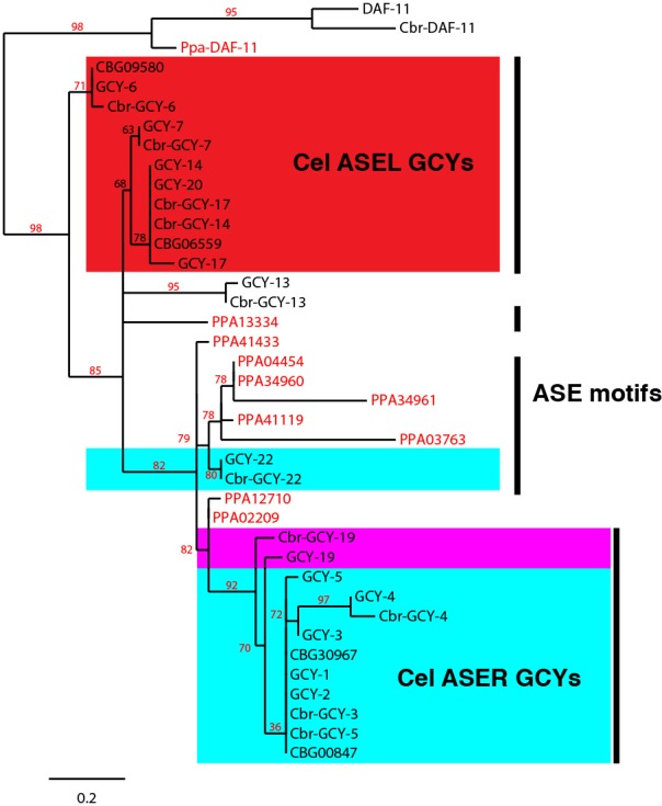 Figure 4—figure supplement 2.