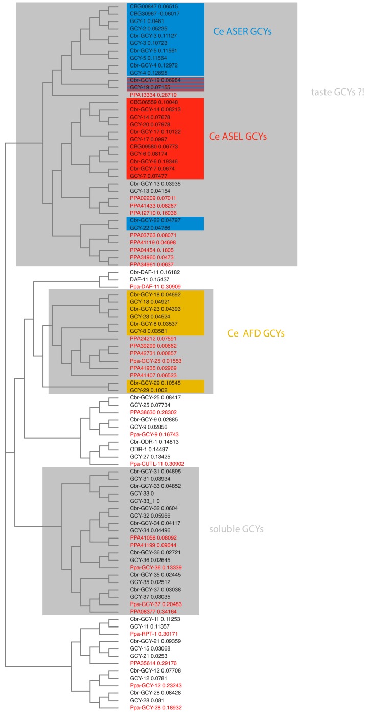 Figure 4—figure supplement 1.