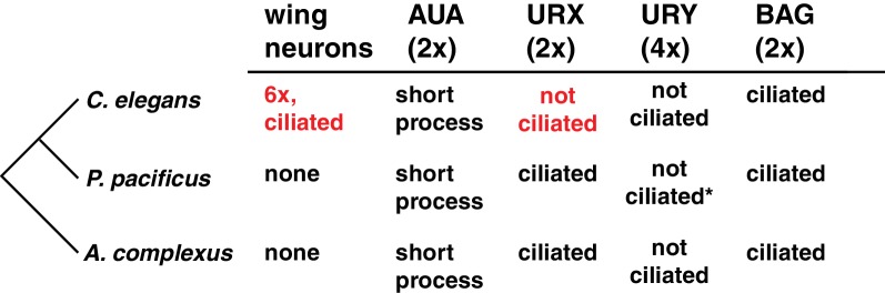 Figure 1—figure supplement 3.