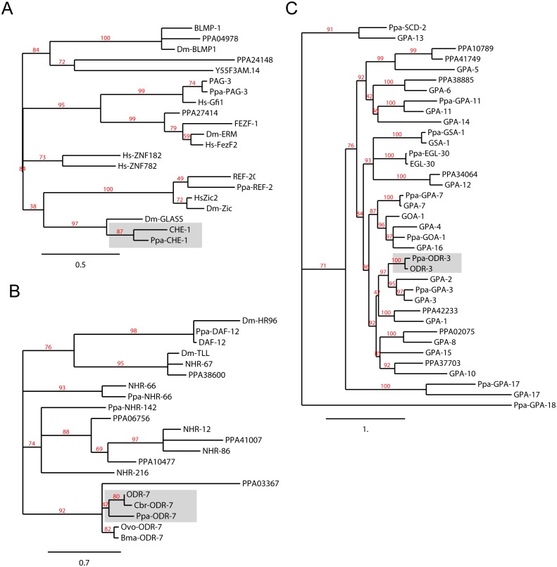 Figure 4—figure supplement 4.