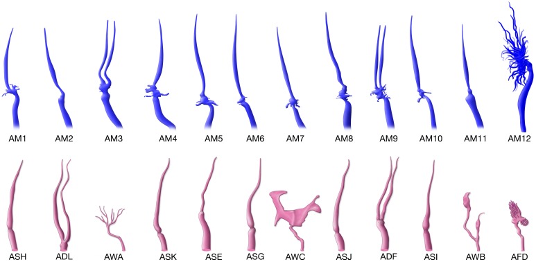 Figure 5.