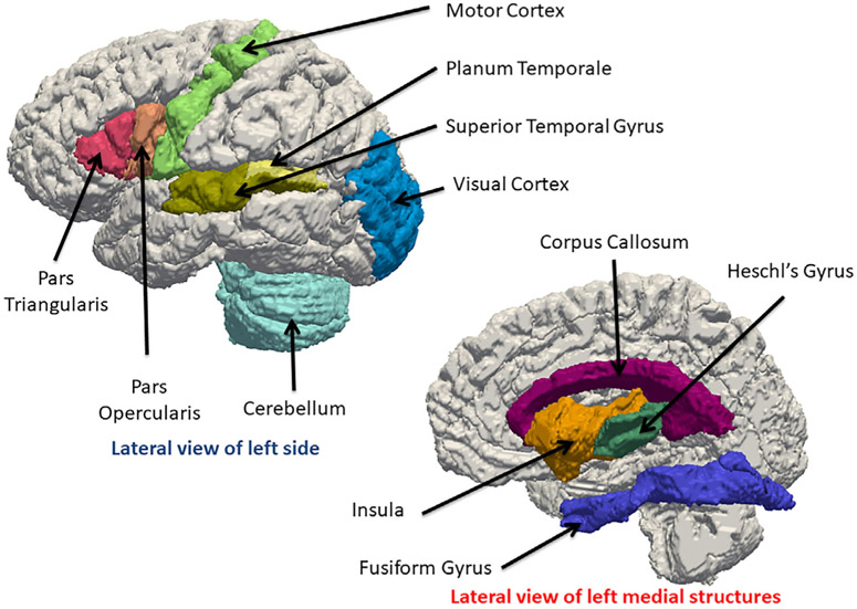 FIGURE 3