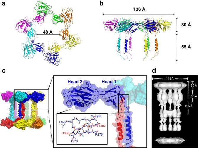 Figure 2.