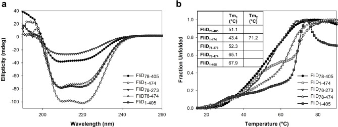 Figure 7—figure supplement 1.