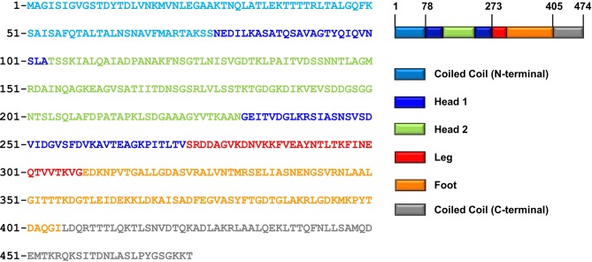 Figure 1—figure supplement 1.